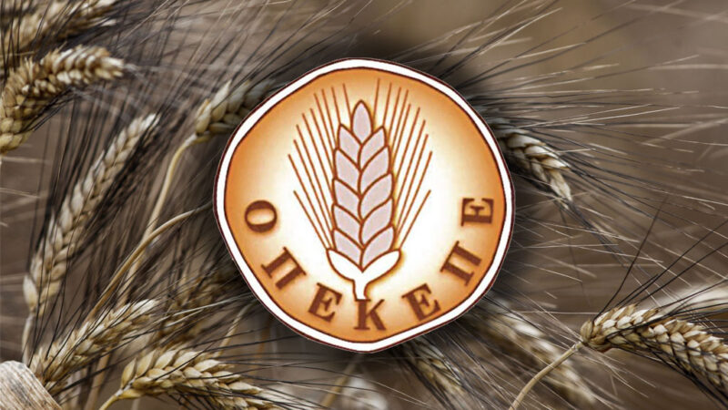 Εφοδος για τις απάτες στον ΟΠΕΚΕΠΕ (ΒΙΝΤΕΟ)