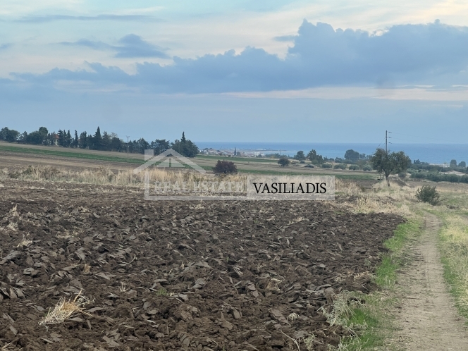 ΠΩΛΕΙΤΑΙ αγροτεμάχιο στην Επανομή
