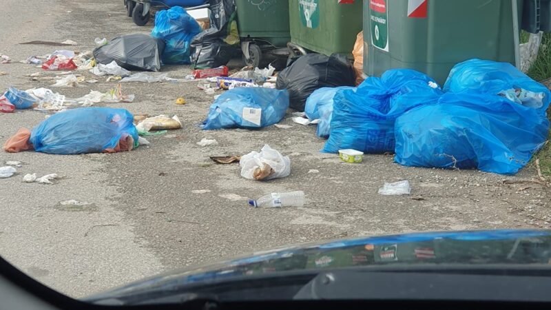 Επανομή: Η καθαριότητα είναι η μισή αρχοντιά… (ΦΩΤΟΡΕΠΟΡΤΑΖ)