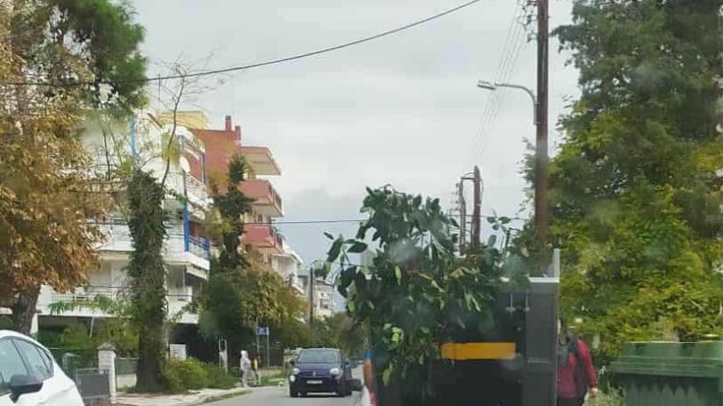 Είστε σοβαροί; Με αυτό το ηλεκτρικό αυτοκινητάκι για τα καλαθάκια μαζεύουν τα ογκώδη στην ενότητα Θερμαϊκού
