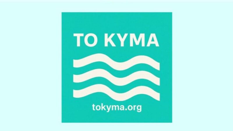 Ερχεται το “Κύμα” της Καρυστιανού;