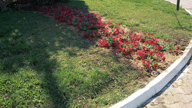 Εκτίναξη του κόστους για το πράσινο! 100 χιλιάρικα επάνω με μηδενικό αποτέλεσμα