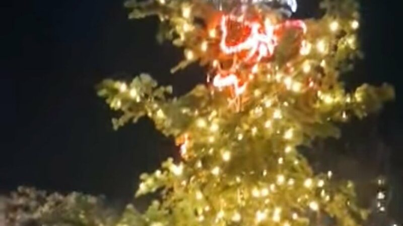 Αναψε το Χριστουγεννιάτικο Δέντρο της Περαίας! (ΒΙΝΤΕΟ)