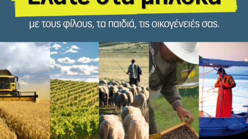 Και σήμερα οι αγρότες περιμένουν τον κόσμο στα Πράσινα Φανάρια