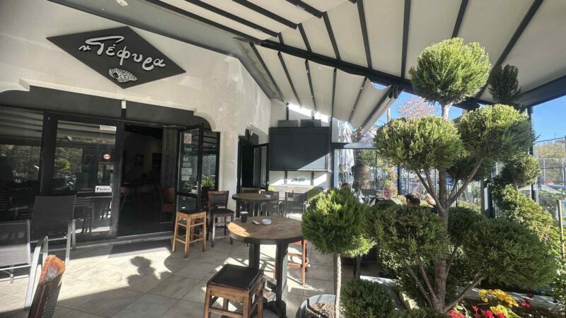 Ωραίες στιγμές στη “Γέφυρα”! (ΒΙΝΤΕΟ)