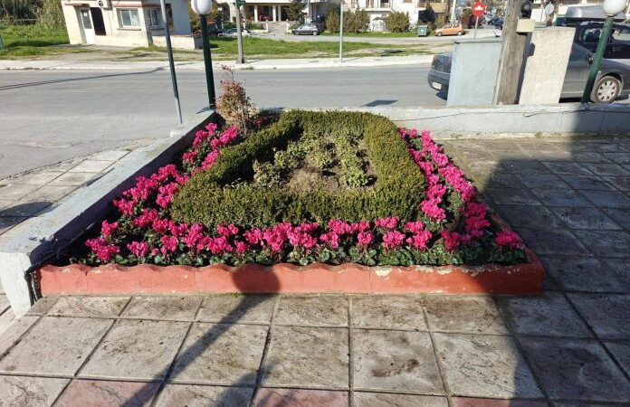 Τζάμπα λεφτά με λουλούδια που μαραίνονται και ξαναφυτεύονται κάθε τρεις και λίγο…