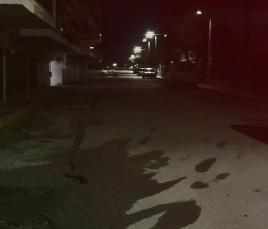 Αναστάτωση στη Περαία από αγέλη σκύλων που θανατώνει γάτες