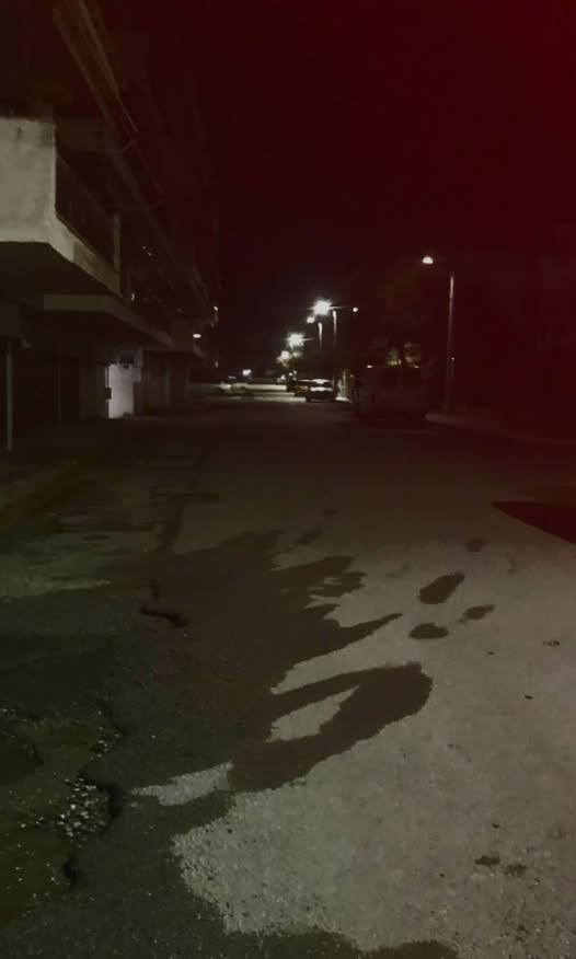 Αναστάτωση στη Περαία από αγέλη σκύλων που θανατώνει γάτες