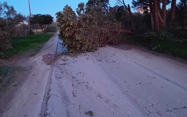 Κλειστός ο δρόμος Επανομής-Ν. Ηράκλειας από πτώση δέντρου