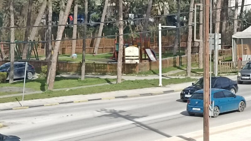 Πέντε δέντρα έτοιμα να πέσουν σε παιδική χαρά της Περαίας