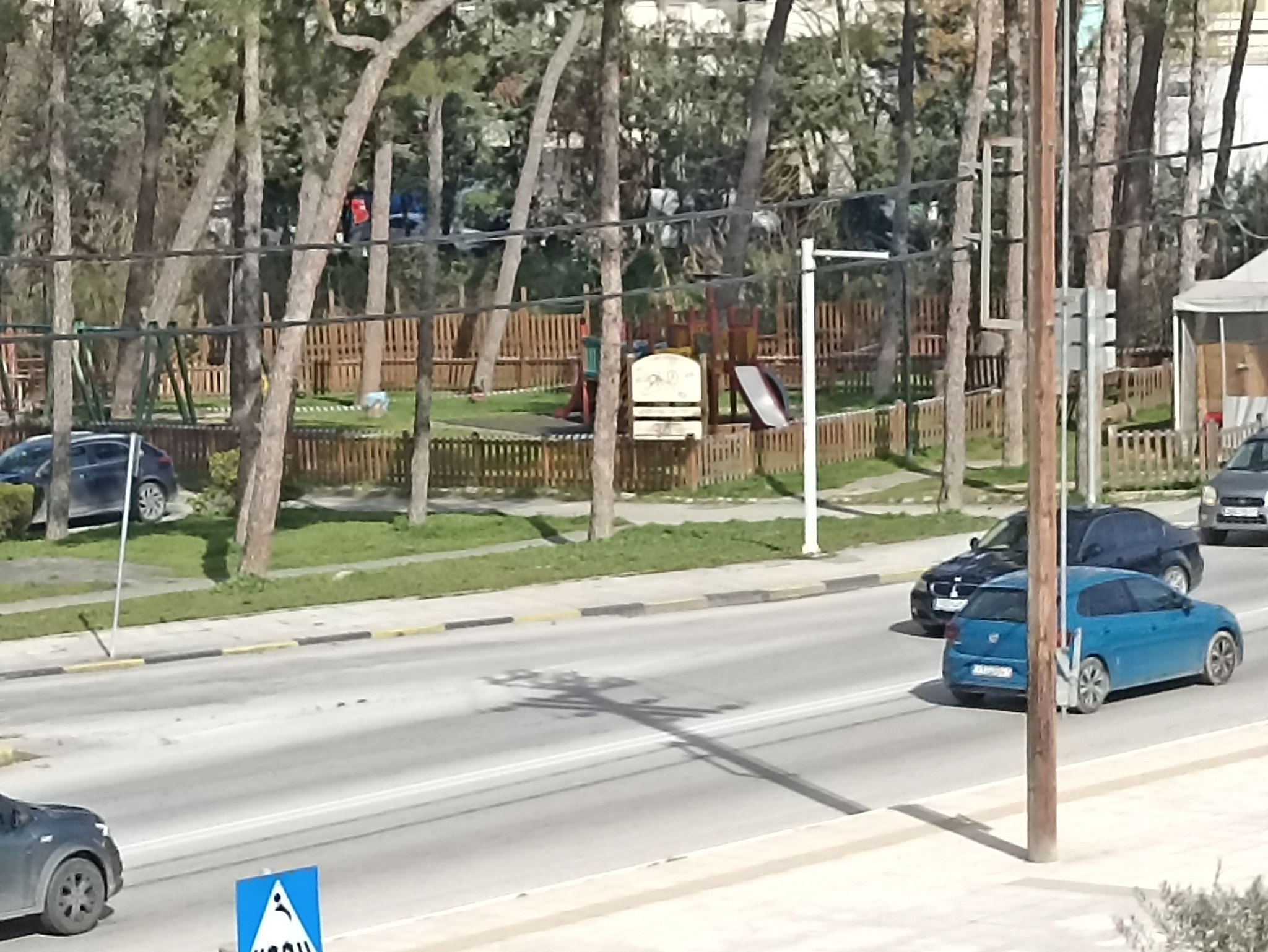 Πέντε δέντρα έτοιμα να πέσουν σε παιδική χαρά της Περαίας