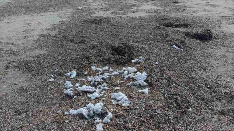 Παραλία Επανομής: Και εις ανώτερα… (ΦΩΤΟΡΕΠΟΡΤΑΖ)
