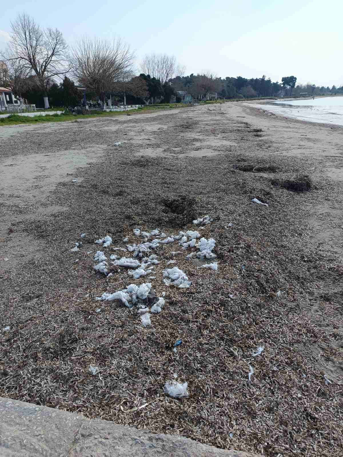 Παραλία Επανομής: Και εις ανώτερα… (ΦΩΤΟΡΕΠΟΡΤΑΖ)
