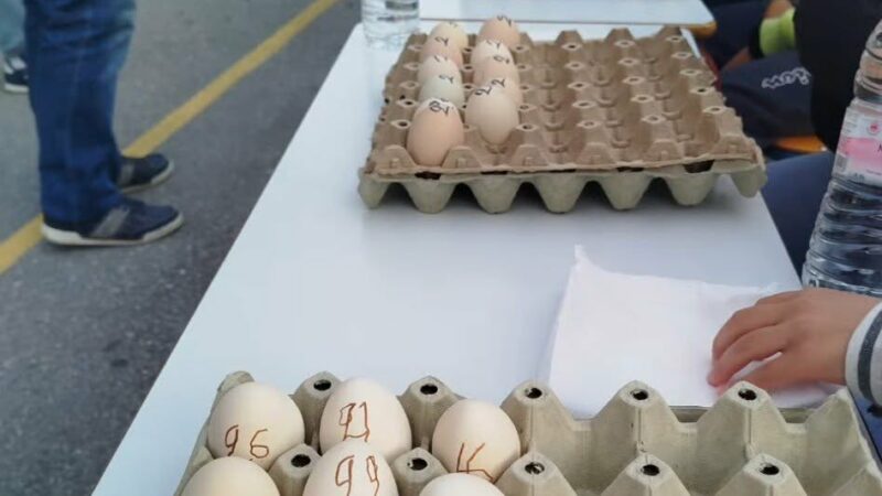Το έθιμο τηρήθηκε ξανά: Σκληρές κόντρες στις πασχαλινές αυγομαχίες του Μεσημερίου