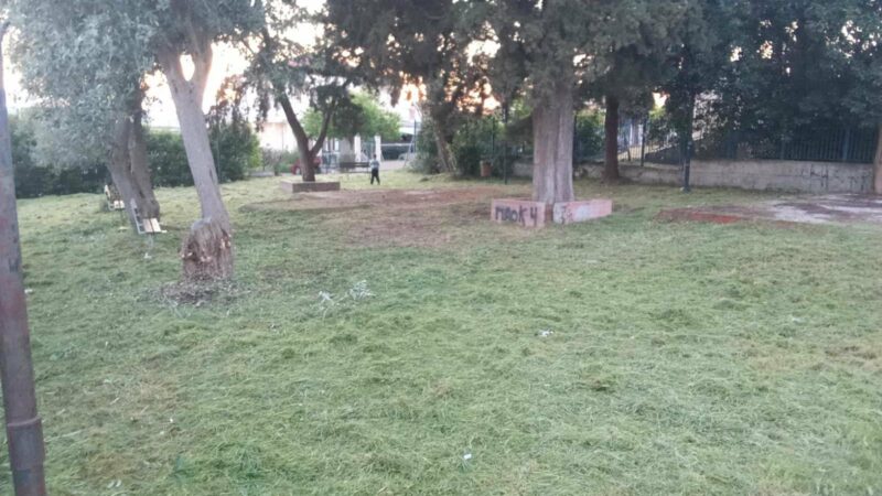 Εγινε και αυτό: Αγανακτισμένοι κάτοικοι κούρεψαν τα χόρτα στο παρκάκι του Αγγελοχωρίου (ΦΩΤΟΡΕΠΟΡΤΑΖ)