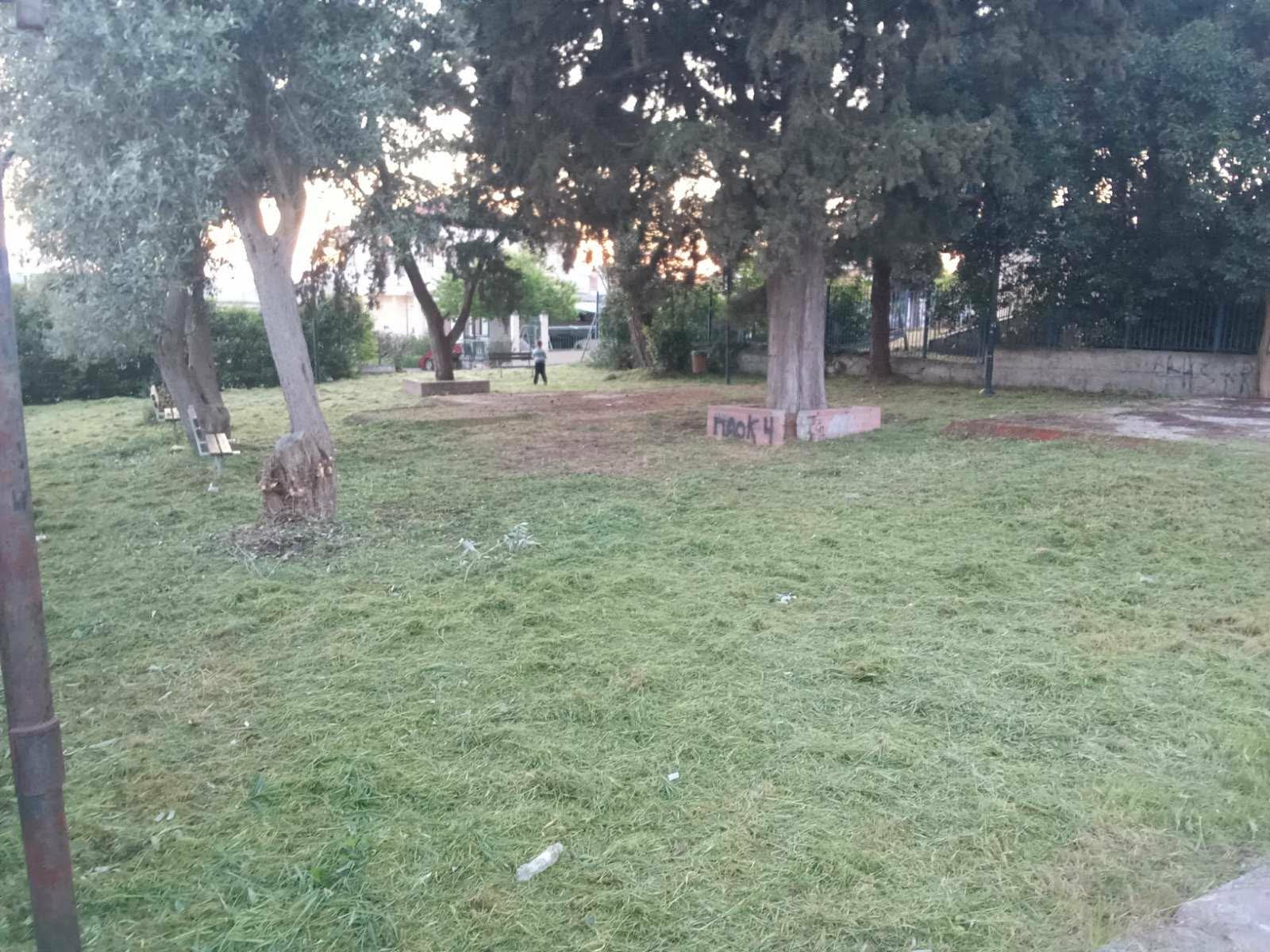 Εγινε και αυτό: Αγανακτισμένοι κάτοικοι κούρεψαν τα χόρτα στο παρκάκι του Αγγελοχωρίου (ΦΩΤΟΡΕΠΟΡΤΑΖ)