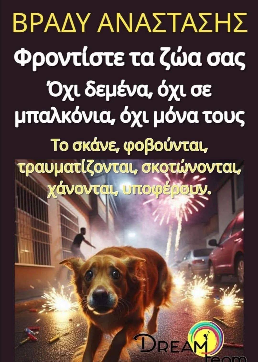 Ο Αντώνης Ζαβέρκος για τα ζώα ενόψει της Ανάστασης: ” Μήνυση στα δίποδα ελεεινά υποκείμενα που θα ρίξουν πυροτεχνήματα…”