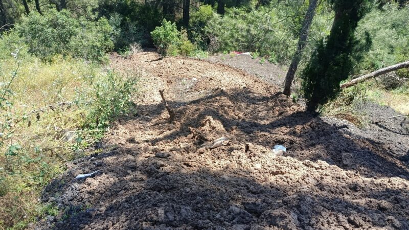 Θέρμη: Εκτεταμένη περιβαλλοντική μόλυνση με λυματολάσπη
