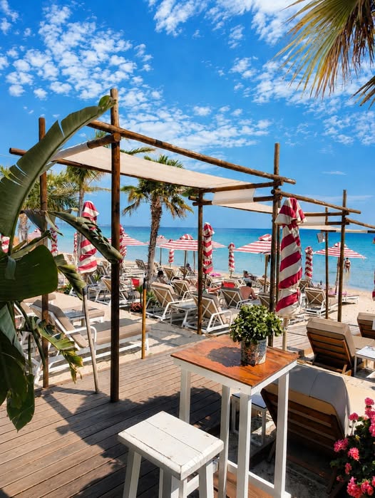 Melissa Seaside Bar…Καλώς ήρθες στην αγαπημένη σου καλοκαιρινή συνήθεια!