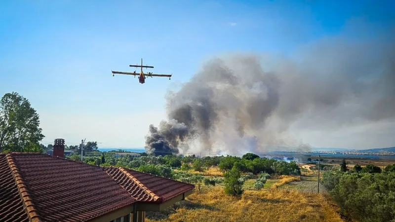 Στη μάχη και καναντέρ στα Τσαϊρια (ΒΙΝΤΕΟ)