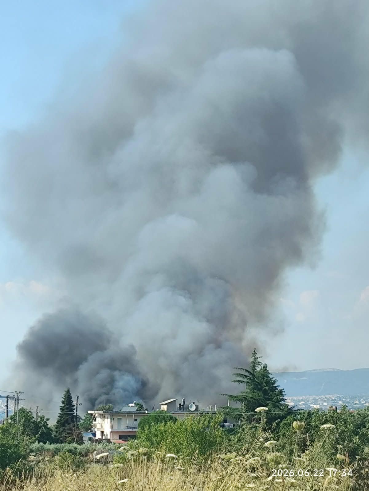 Η Κατερίνα Ζιούτα αρθρογραφεί στο BestCity.gr για τη χθεσινή φωτιά στα Τσαϊρια: “Στο ίδιο έργο θεατές”