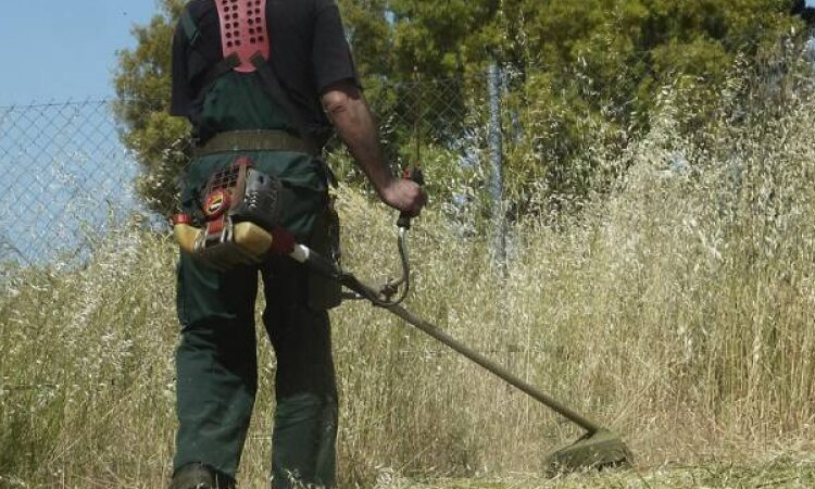 Καθαρίστε τα οικόπεδά σας-Εκπνέει η προθεσμία
