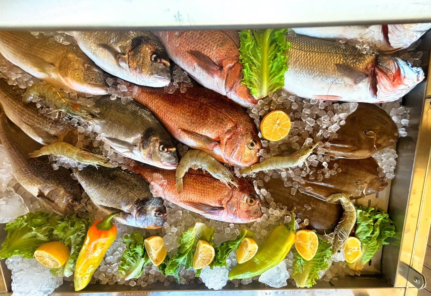 Makis Fresh Fish: Η φρεσκάδα δεν περιγράφεται… φαίνεται!