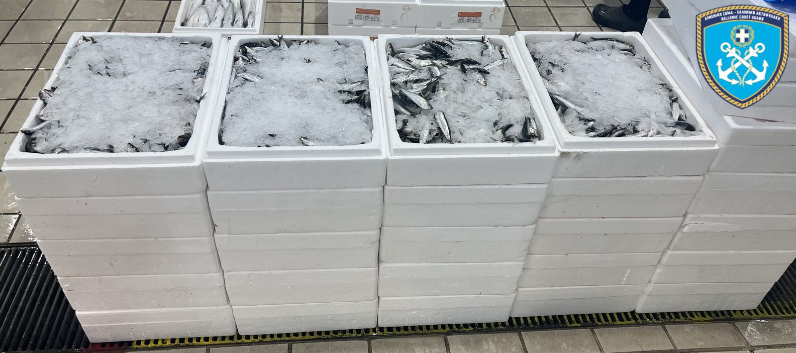 Ιχθυόσκαλα: Κατασχέθηκαν 42 κιβώτια με σαρδέλες και ένας ξιφίας 16 κιλών (ΦΩΤΟΡΕΠΟΡΤΑΖ)