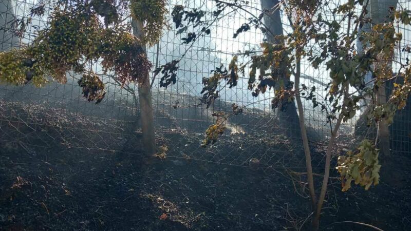 Επιστολή κατοίκων οικισμού Καλλιθέας προς Τζέκο: “Το αίσθημα ασφάλειας που είχαμε ως κάτοικοι της περιοχής έχει κλονιστεί σημαντικά”