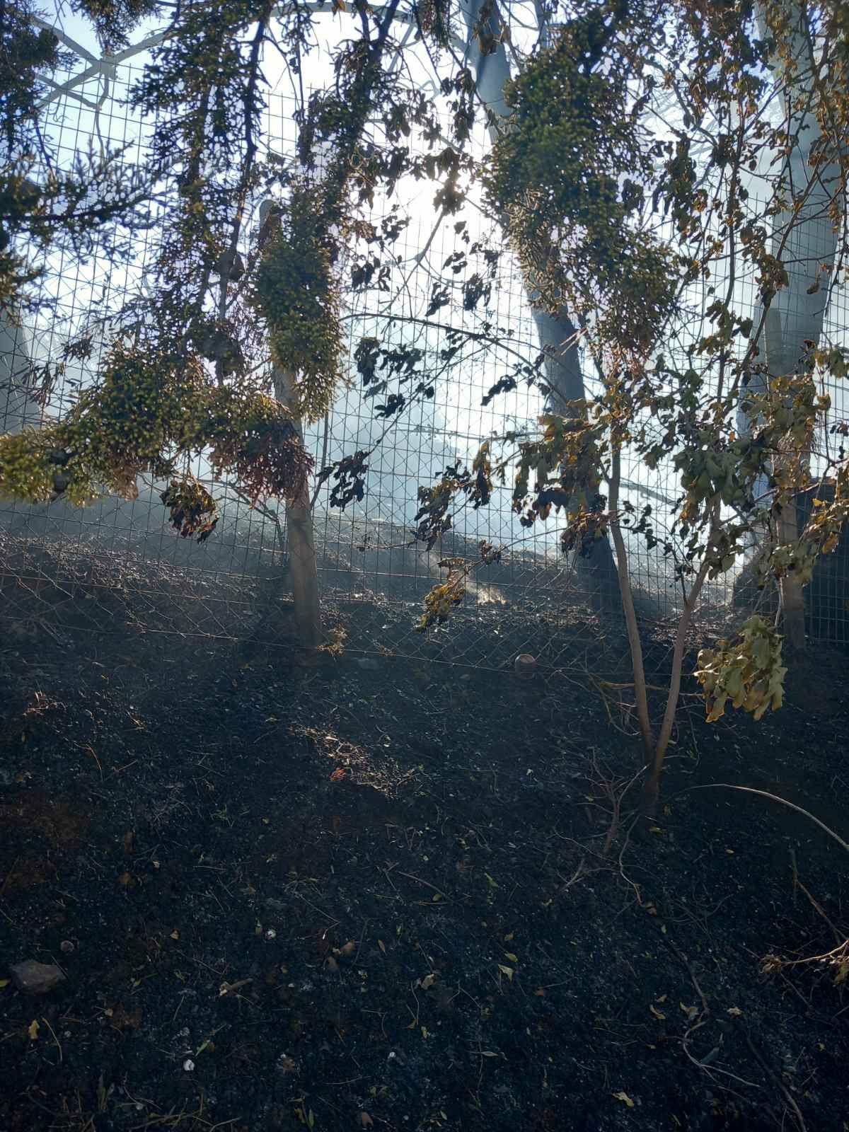 Επιστολή κατοίκων οικισμού Καλλιθέας προς Τζέκο: “Το αίσθημα ασφάλειας που είχαμε ως κάτοικοι της περιοχής έχει κλονιστεί σημαντικά”