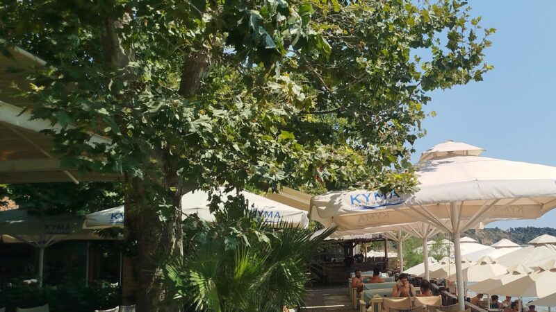 Ο καύσωνας φεύγει με…ΚΥΜΑ!