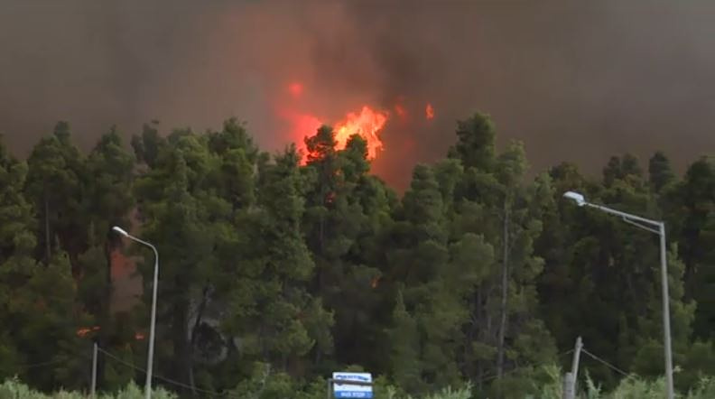 Χαλκιδική: Στάχτη και αποκαΐδια άφησε πίσω της η μεγάλη φωτιά – Απεγκλωβίστηκαν 481 άτομα δια θαλάσσης (BINTEO)