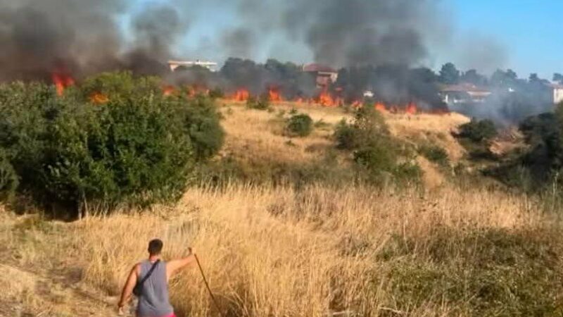 ΤΩΡΑ: Φωτιά στη Μηχανιώνα