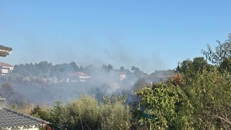 Ανακριτικό Κλιμάκιο Αντιμετώπισης Εγκλημάτων Εμπρησμού στη Μηχανιώνα