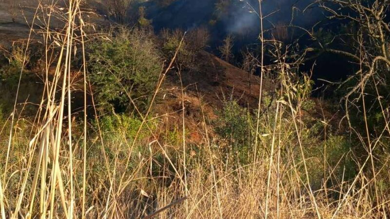 Εσβησε η φωτιά στη Μηχανιώνα (ΦΩΤΟΡΕΠΟΡΤΑΖ)