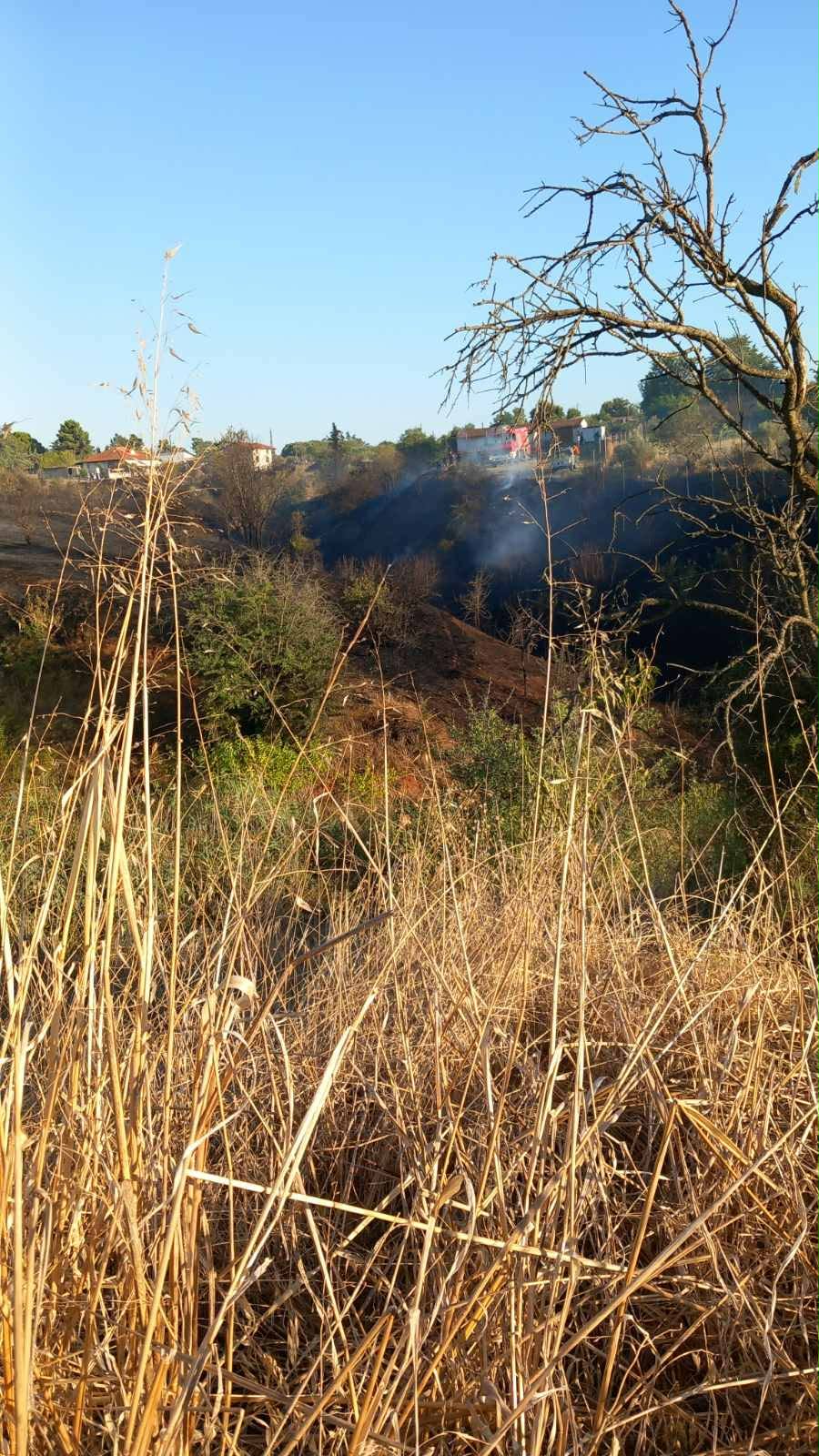 Εσβησε η φωτιά στη Μηχανιώνα (ΦΩΤΟΡΕΠΟΡΤΑΖ)