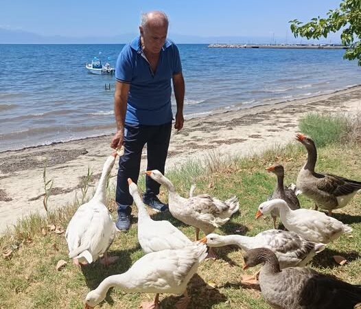 Η φωτογραφία της ημέρας