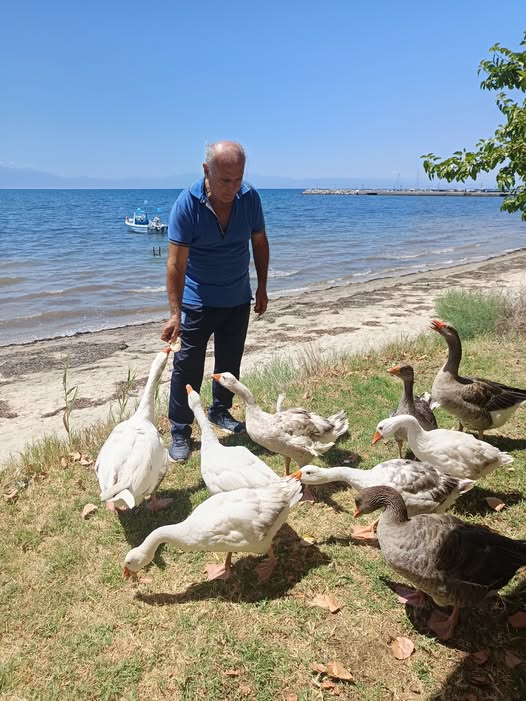 Η φωτογραφία της ημέρας