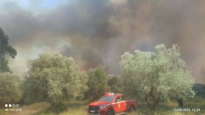 ΤΩΡΑ: Ανεξέλεγκτη φωτιά στη Σίβηρη-Καίγονται σπίτια (ΒΙΝΤΕΟ)