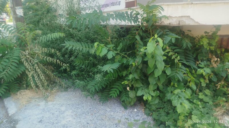 Μηχανιώνα: Περιμένοντας το πανηγύρι σε αυτή την άθλια κατάσταση… (ΦΩΤΟΡΕΠΟΡΤΑΖ)