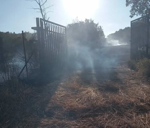 Φωτιά στην Ανω Περαία: Γλυτώσαμε τα χειρότερα, θα μπορούσε να μπει στον ελαιώνα και να πάρει έκταση