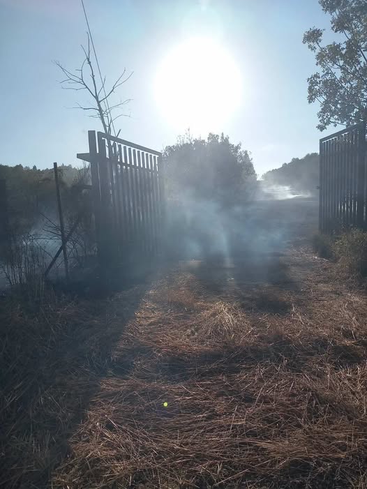 Φωτιά στην Ανω Περαία: Γλυτώσαμε τα χειρότερα, θα μπορούσε να μπει στον ελαιώνα και να πάρει έκταση