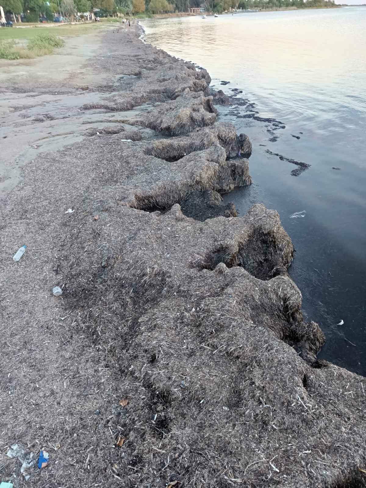 Δείτε χάλια στη Παραλία Επανομής