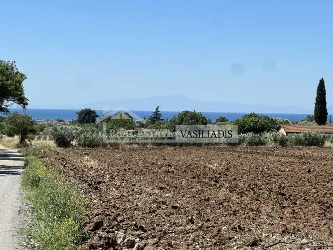 Μηχανιώνα: Πωλείται αγροτεμάχιο με την προοπτική ανέγερσης τριών κατοικιών
