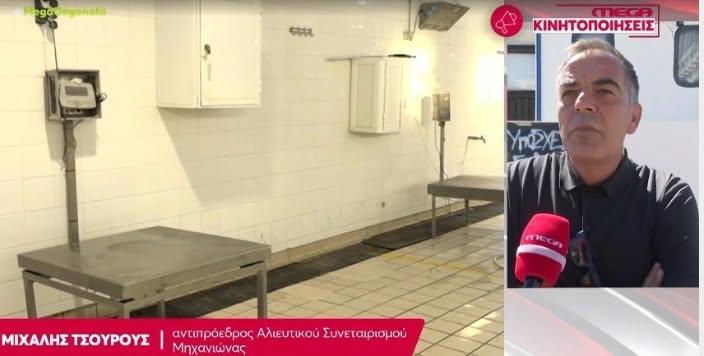 Το MEGA στην άδεια Ιχθυόσκαλα-Δηλώσεις Τσουρού (ΒΙΝΤΕΟ)